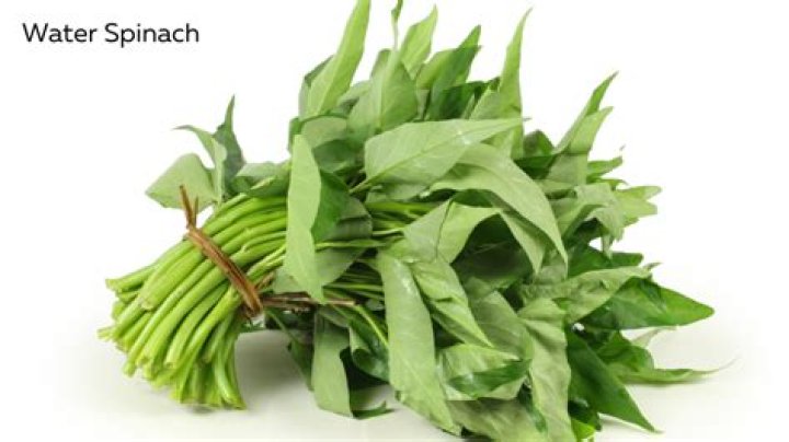 A Culinary Journey Of Flavor And Nutrition