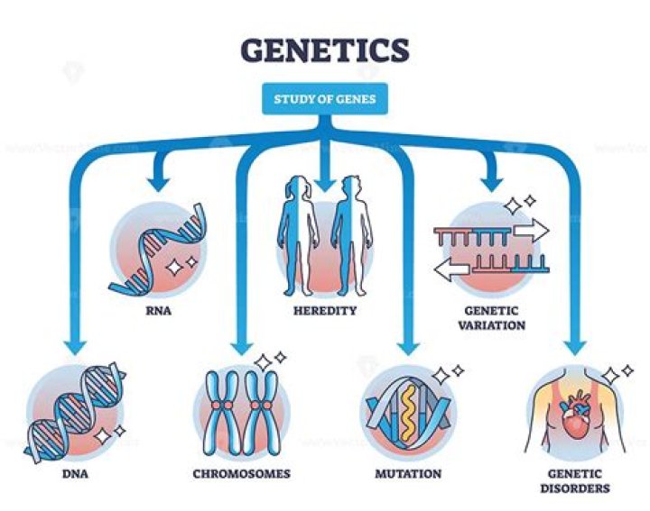 A Journey Of Genetics And Lifestyle