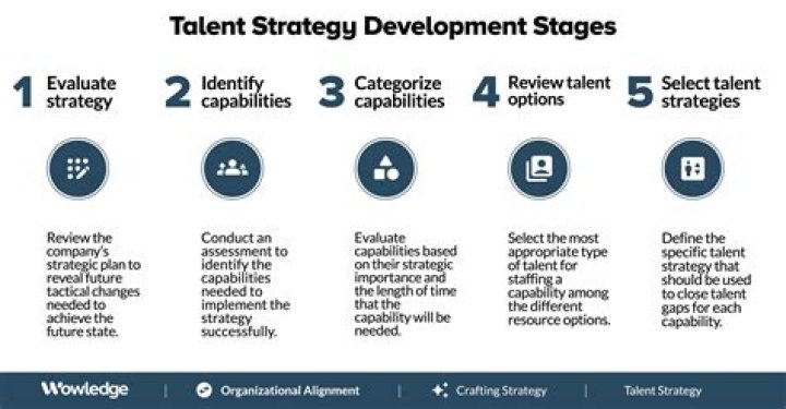 A Journey Of Talent And Strategy