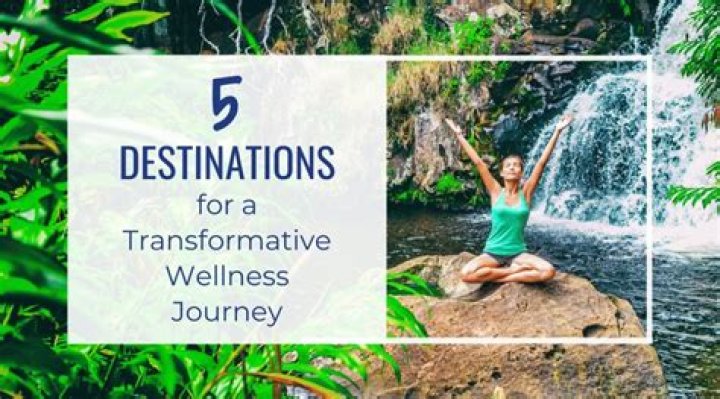 A Transformative Journey To Wellness