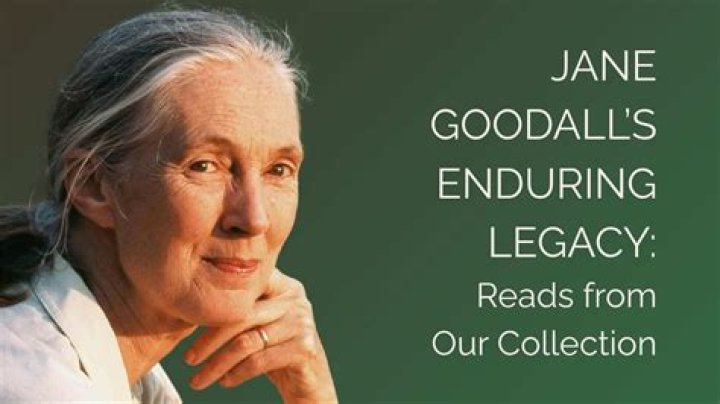 Age, Talent, And Enduring Legacy