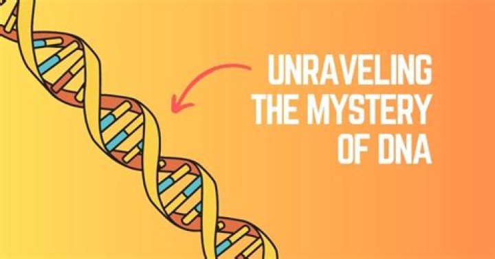 Discoveries In Tamara Day Stroke: Unraveling The Mysteries