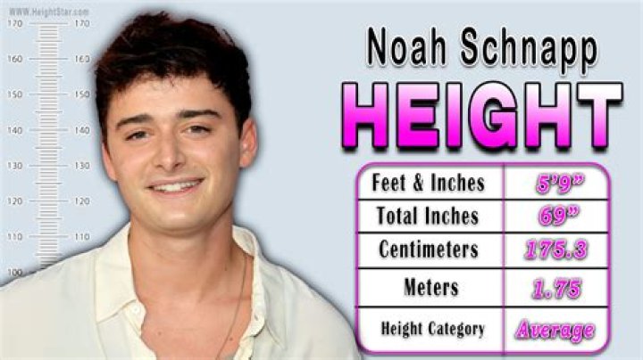 How Tall Is Noah Schnapp