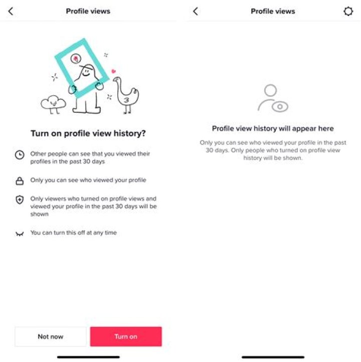 If I Turn On Profile Views On Tiktok Then Turn It Off Will They Know
