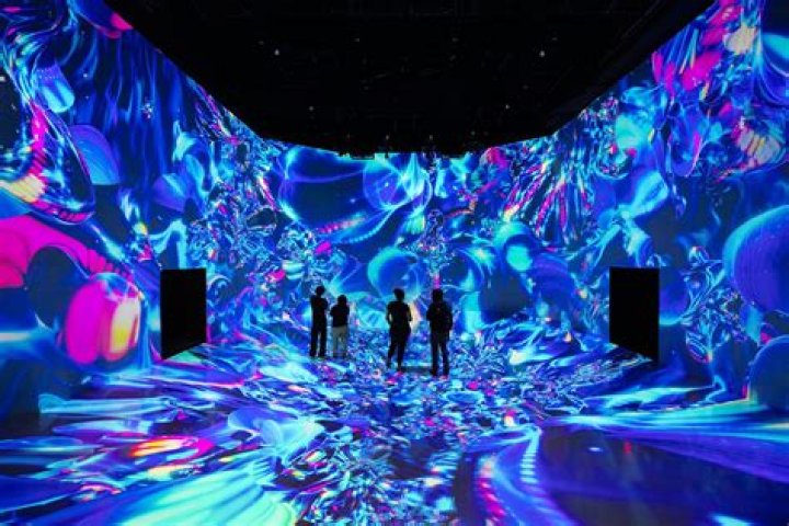 Immersive Art And Digital Explorations