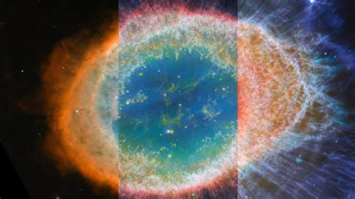 Insights Into A Star's Fortune