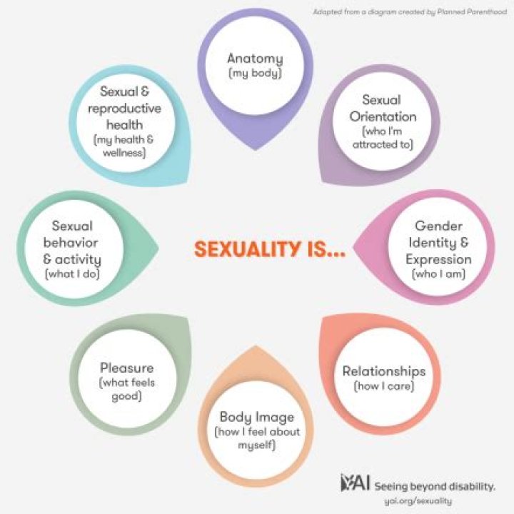 Ryan Paevey's Sexuality And Its Impact