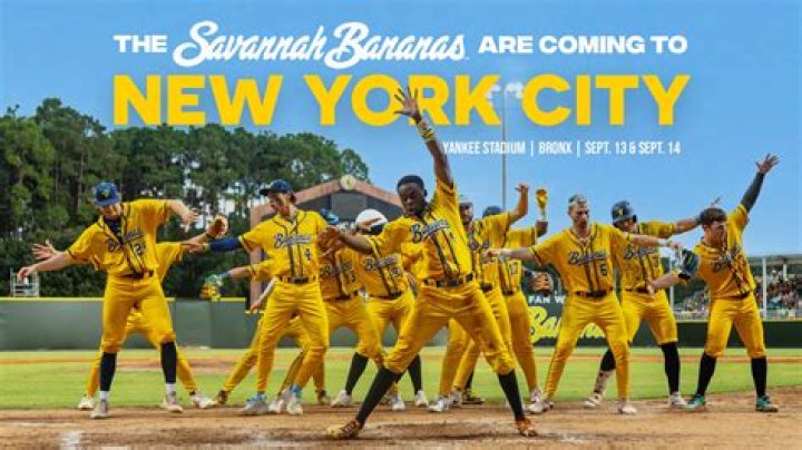 Savannah Bananas Net Worth Exposed