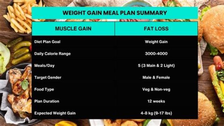 The Weight Gain Journey Of Shiv