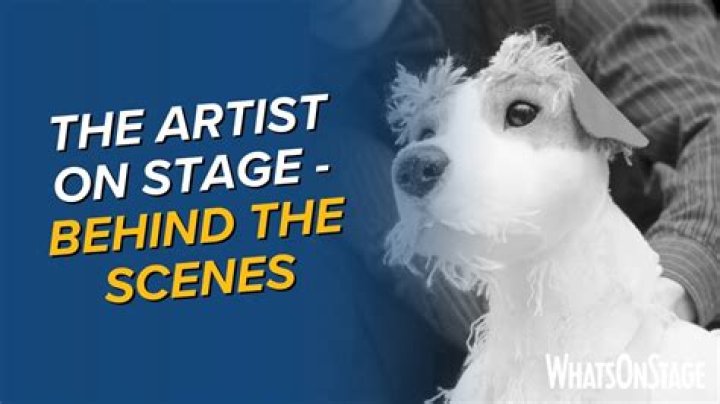 Unmasking The Artist Behind The Stage Name