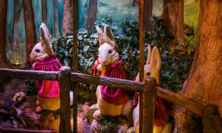 Unveiling The Enchanting World Of Donna Nobile: Discoveries And Insights