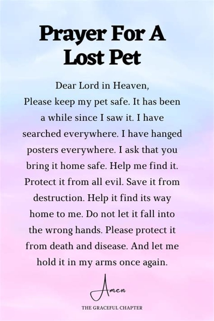 Unveiling The Power Of St. Francis' Prayer For Lost Pets: Discover Hope And Guidance